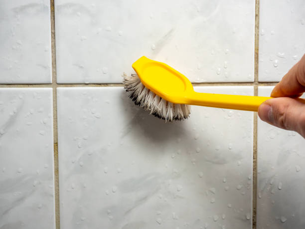 Best Localized Mold Remediation (e.g., coastal areas, humid climates) in Wright City, MO