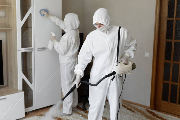 Best Attic Mold Remediation in Wright City, MO