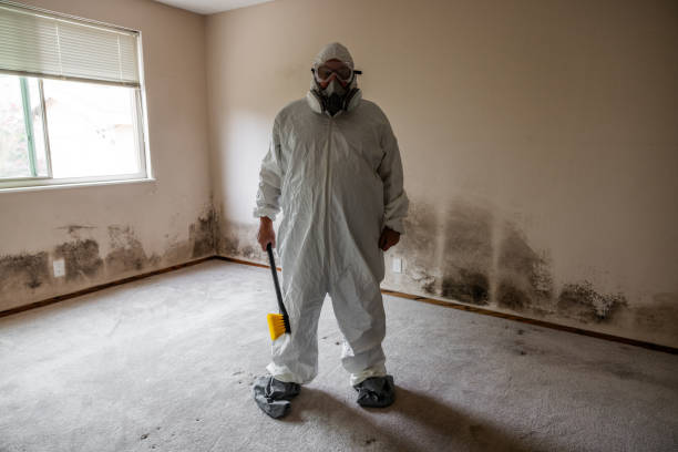 Best HVAC Mold Remediation in Wright City, MO